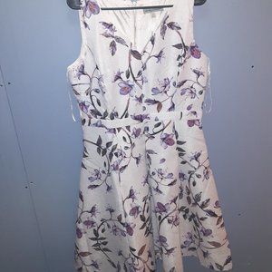 Lavender Dress